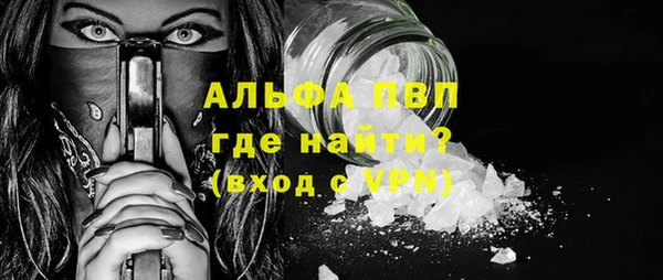 индика Ростов